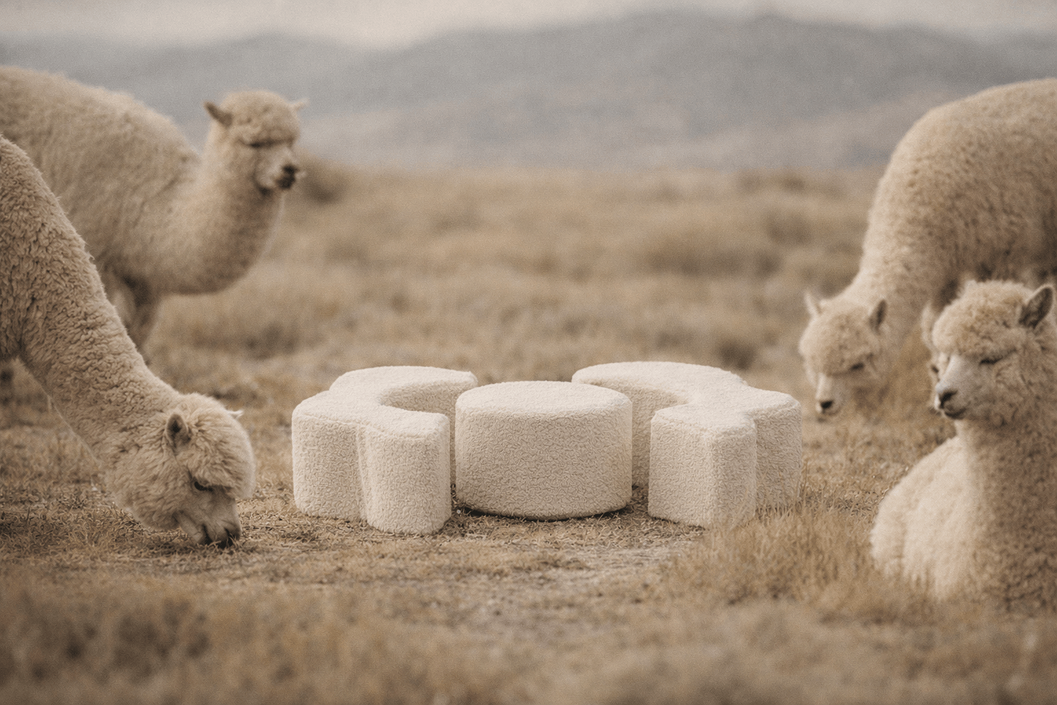 Meowbaby Piankowy Plac Zabaw dla Dzieci | Flower Shape Set | 3 Elementy | Bearly