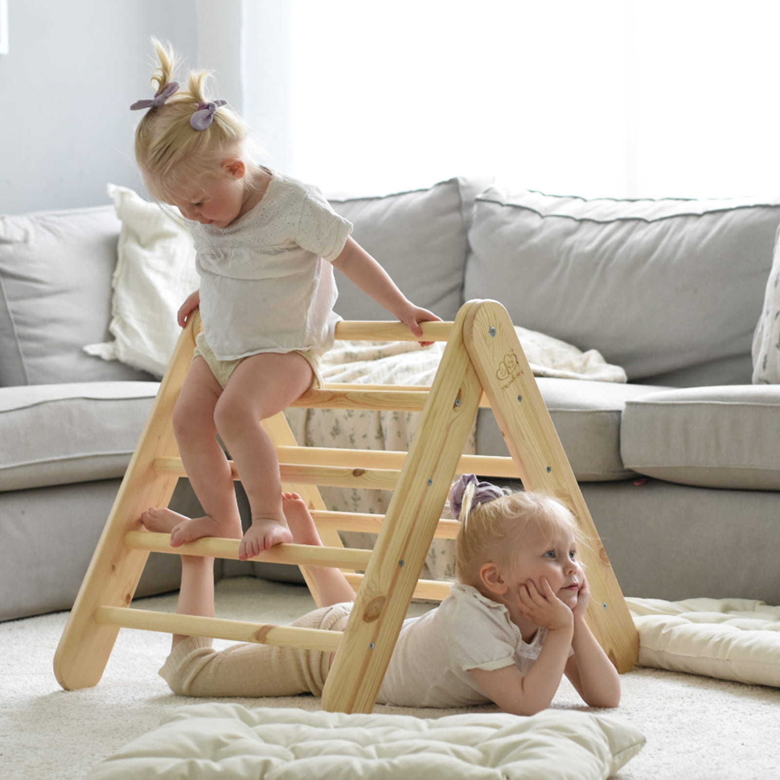 Ladder Slide-Climber Wall 2-in-1